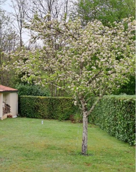 Notre Refuge Villa Ecuras Dış mekan fotoğraf